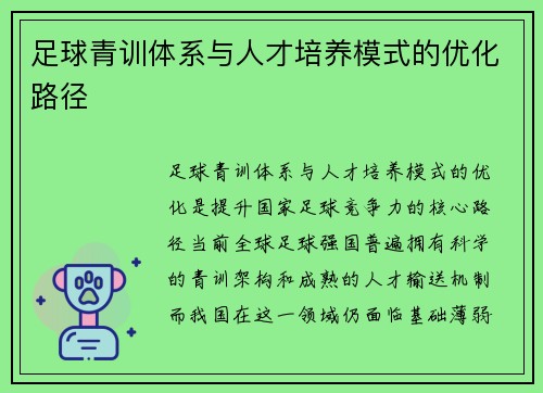 足球青训体系与人才培养模式的优化路径
