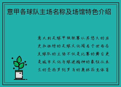 意甲各球队主场名称及场馆特色介绍